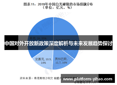 中国对外开放新政策深度解析与未来发展趋势探讨